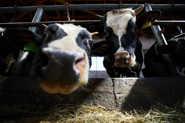 Similar image 20947058