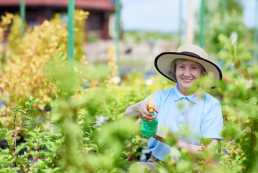 Similar image 20945137