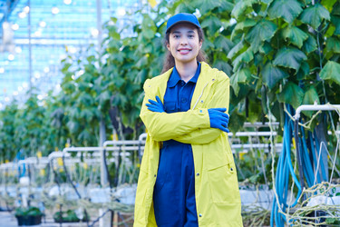 Similar image 20906909