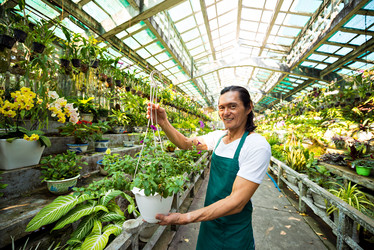 Similar image 20899539