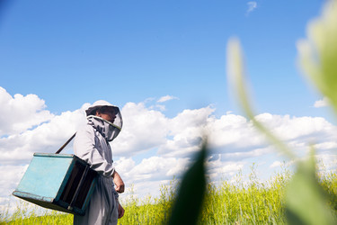 Similar image 20908643