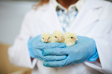 Similar image 20951530