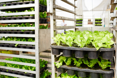 Similar image 20953596