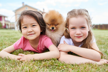 Similar image 20899238