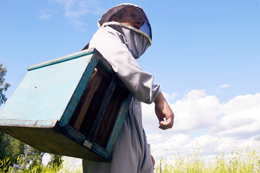 Similar image 20958784