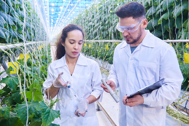 Similar image 20932374