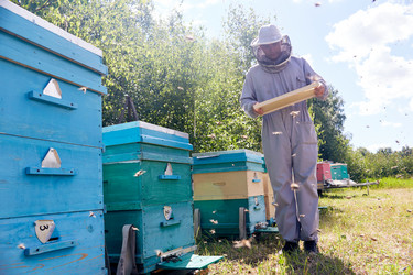 Similar image 20950780