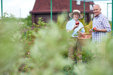 Similar image 20965861