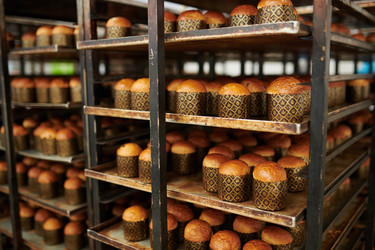 Similar image 20919545