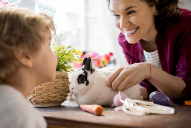 Similar image 20919292