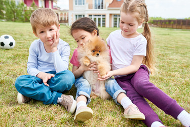 Similar image 20893459