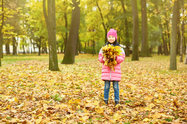 Similar image 20956236