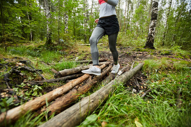 Similar image 20923423