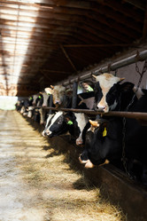 Similar image 20938140