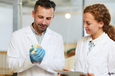 Similar image 20905408