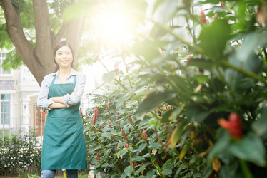 Similar image 20959850