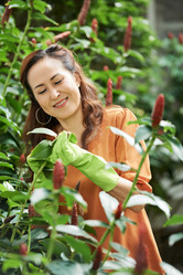 Similar image 20919558