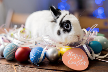 Similar image 20964940