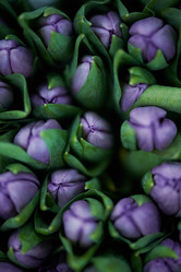 Similar image 20909839