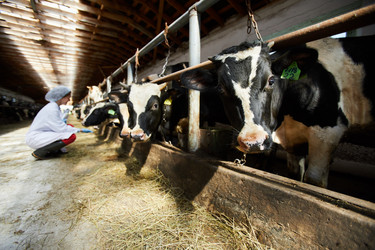 Similar image 20954445