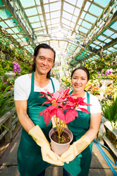 Similar image 20957584