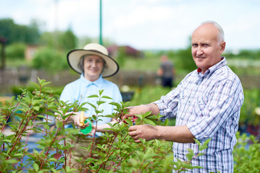 Similar image 20935105