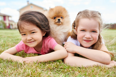 Similar image 20896635