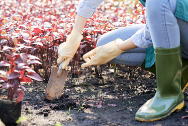 Similar image 20904001