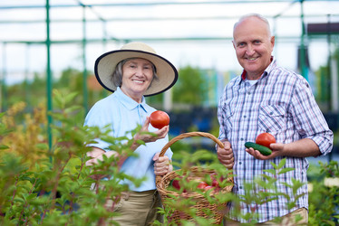 Similar image 20898169