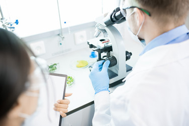 Similar image 20909603