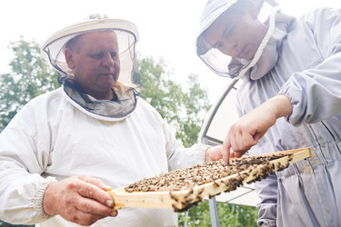 Similar image 20925866