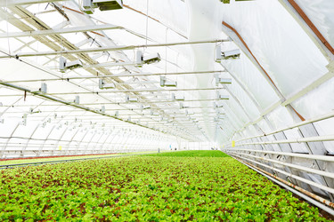 Similar image 20914976