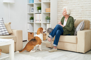 Similar image 20925209