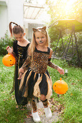 Similar image 20908200