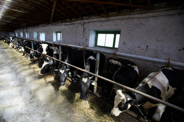 Similar image 20914338