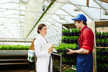 Similar image 20944050