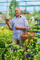 Similar image 20908645