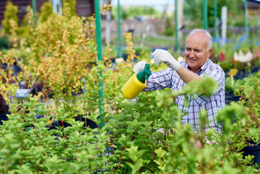 Similar image 20953481