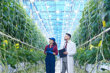 Similar image 20912386