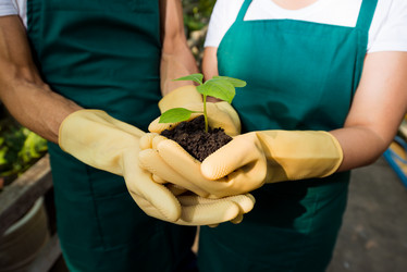 Similar image 20944879