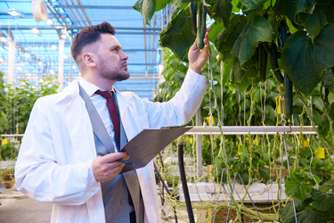 Similar image 20946110