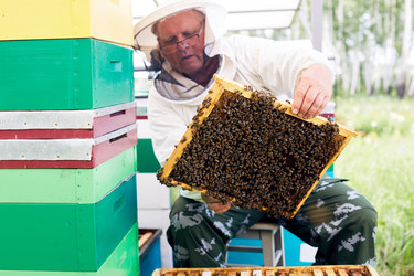 Similar image 20898652