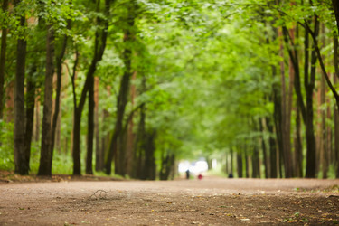 Similar image 20924407