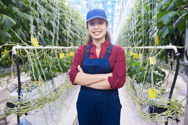 Similar image 20919406