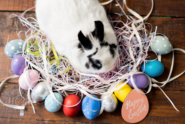 Similar image 20959007