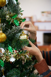 Similar image 20906238