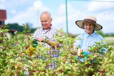 Similar image 20923811