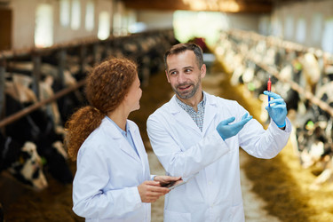 Similar image 20927708