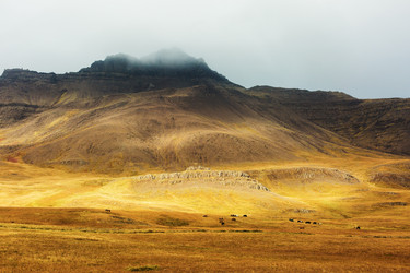 Similar image 20891468