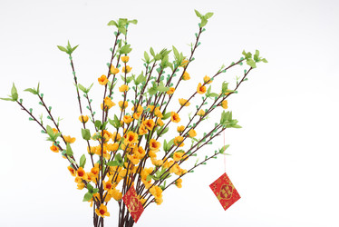 Similar image 20918782